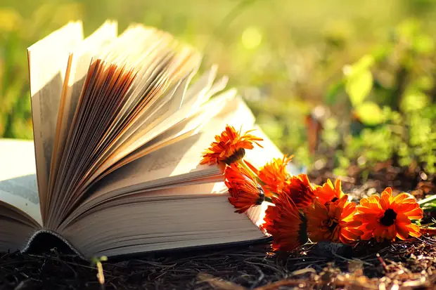 Carnet et fleurs — introspection