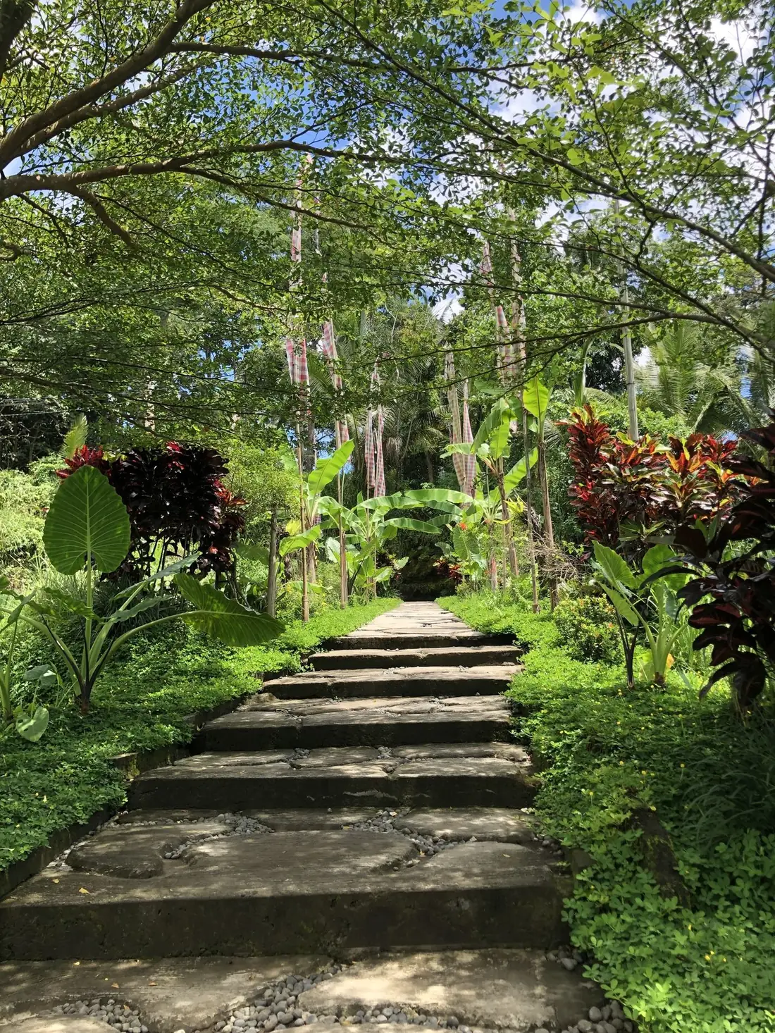 Escalier de pierre dans la jungle balinaise — voie de transformation