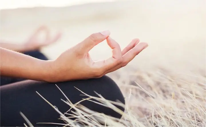 Main en mudra de méditation dans un champ